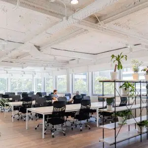 Aticco Maria de Molina Coworking Madrid